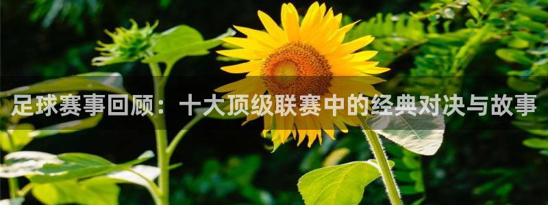 意昂招商