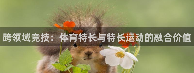 杏悦24平台
