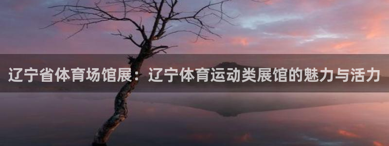 杏悦23官网