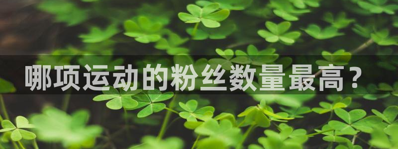 杏悦22登录