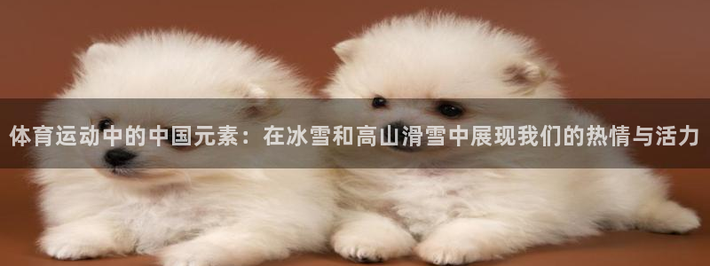 佛山市南海杏悦2机电仪器有限公司