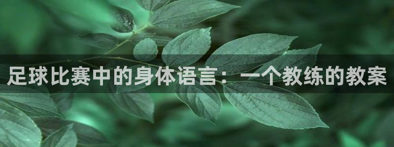 意昂4