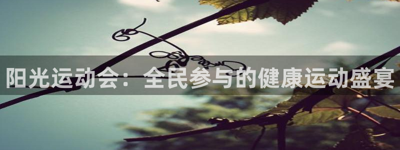 意昂包怎么样