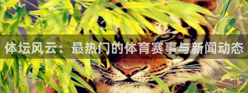 杏悦2体育3在线注册