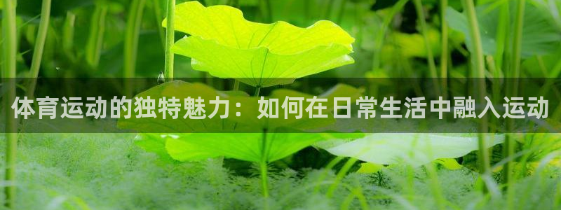 杏悦2平台注册